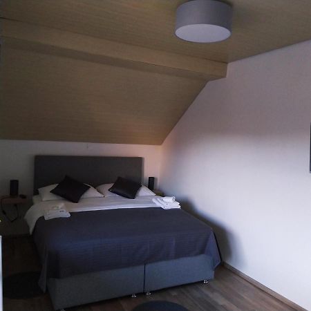 Apartment Trubarjeva33, Near Ljubljana, Free Parking Velike Lasce Εξωτερικό φωτογραφία