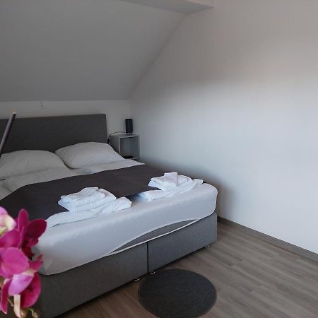 Apartment Trubarjeva33, Near Ljubljana, Free Parking Velike Lasce Εξωτερικό φωτογραφία