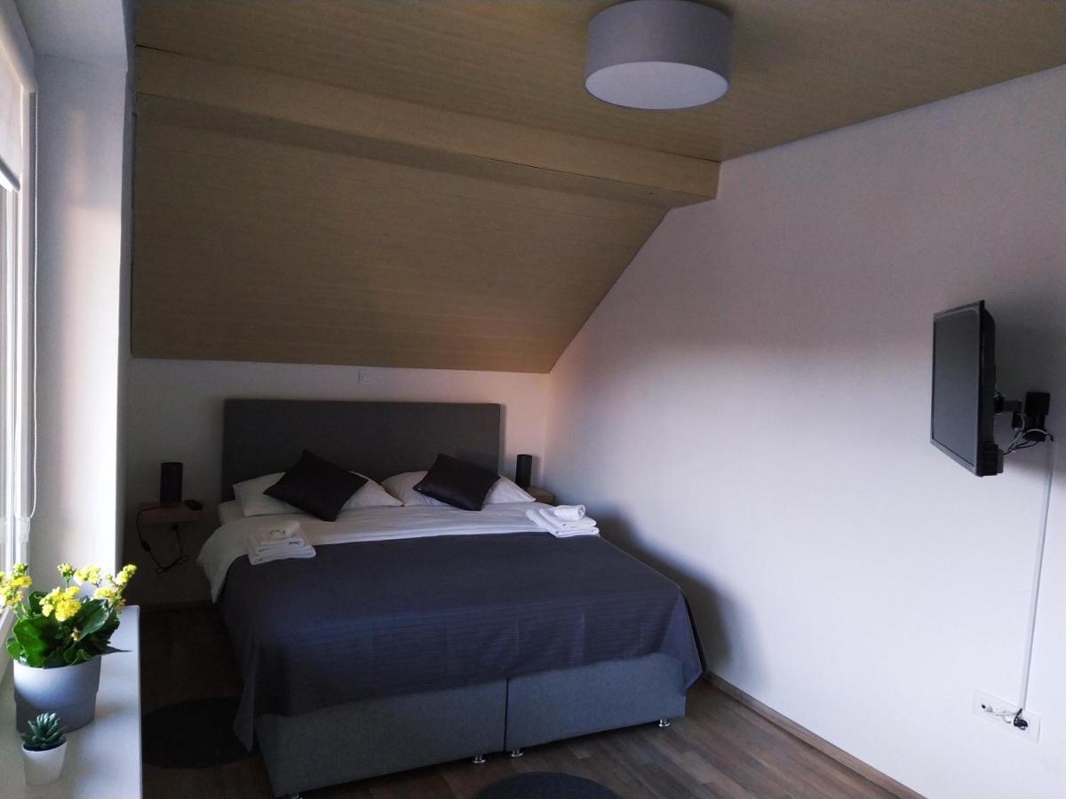 Apartment Trubarjeva33, Near Ljubljana, Free Parking Velike Lasce Εξωτερικό φωτογραφία