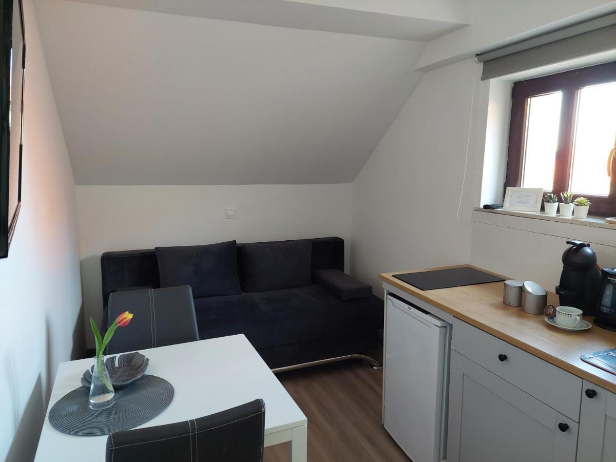 Apartment Trubarjeva33, Near Ljubljana, Free Parking Velike Lasce Εξωτερικό φωτογραφία