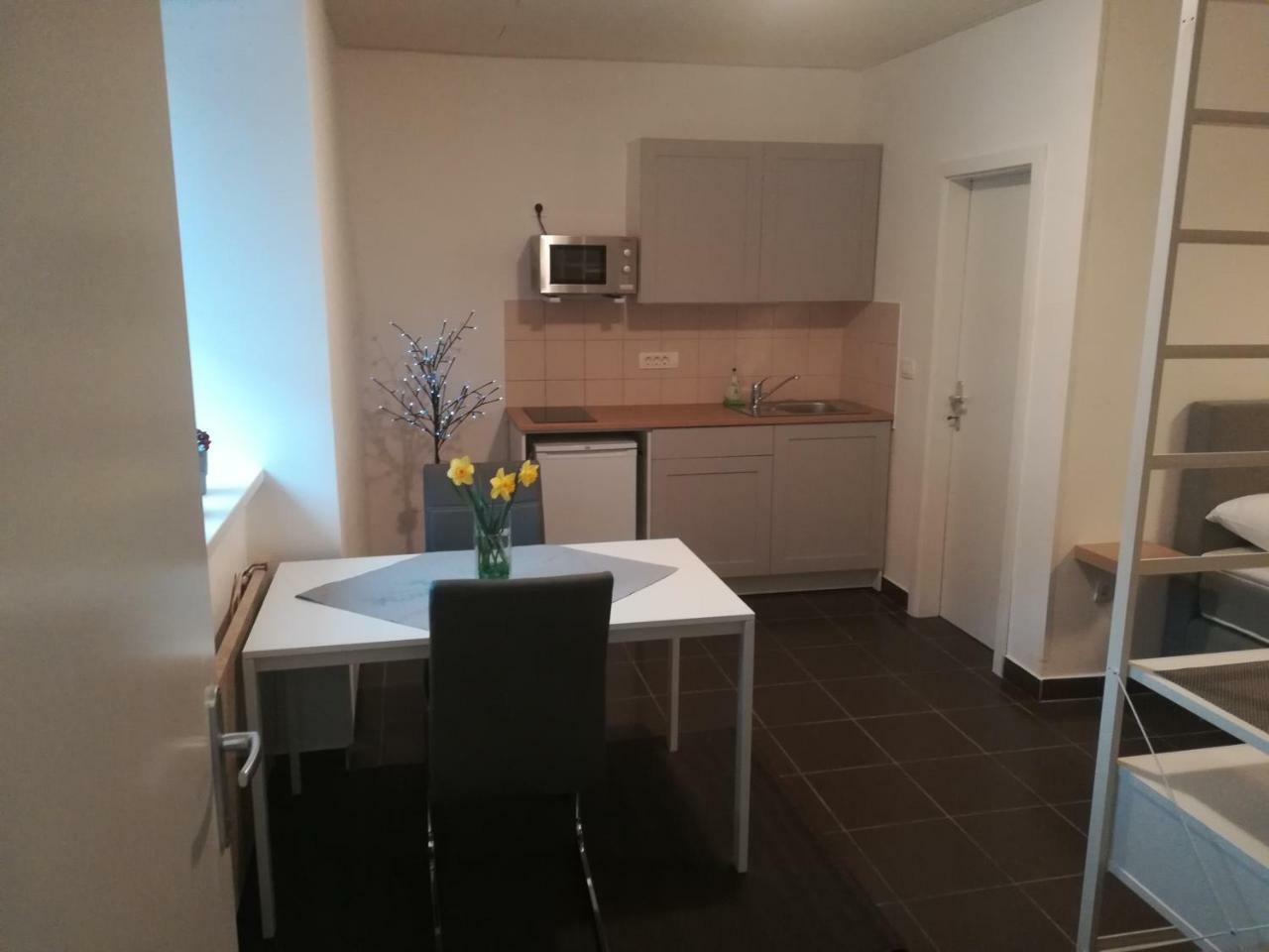 Apartment Trubarjeva33, Near Ljubljana, Free Parking Velike Lasce Εξωτερικό φωτογραφία